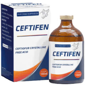 CEFTIFEN
